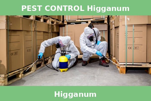 PEST CONTROL Higganum